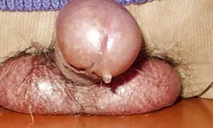 आबनूस चार्ली उसे बिल्ली गुलाबी से पता सेक्सी पिक्चर हिंदी में दे दो चलता है